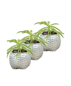 Mini Çiçek Saksı Küçük Sukulent Gümüş Kaktüs Saksısı 3'lü Set Sepet Örgü Model